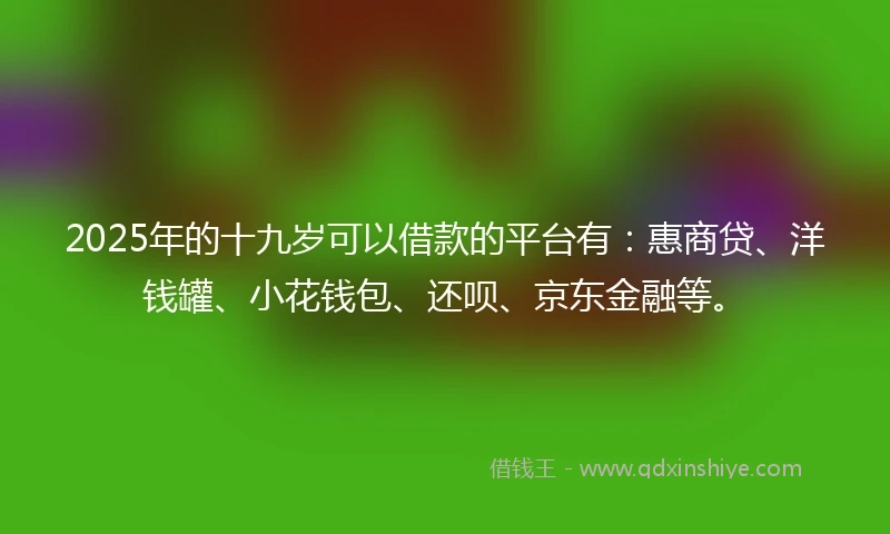2025年的十九岁可以借款的平台有：惠商贷、洋钱罐、小花钱包、还呗、京东金融等。
