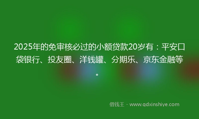 2025年的免审核必过的小额贷款20岁有：平安口袋银行、投友圈、洋钱罐、分期乐、京东金融等。