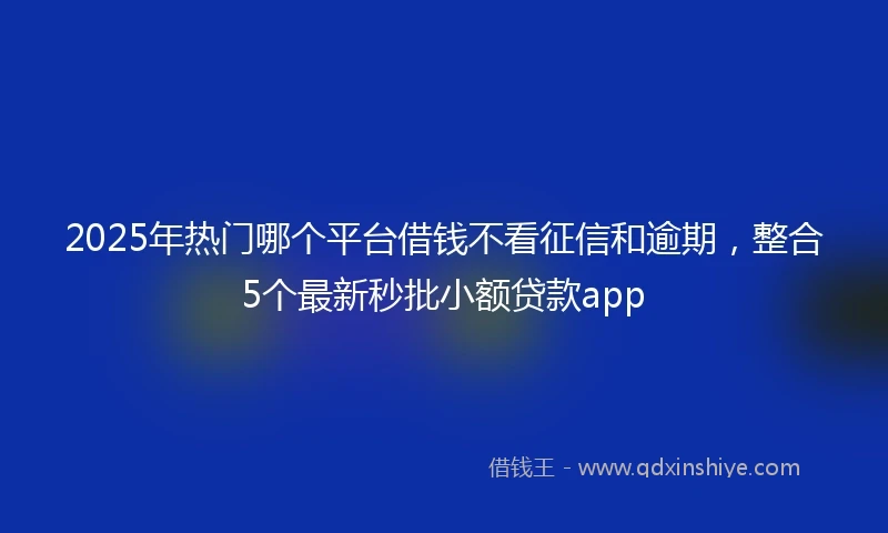 2025年热门哪个平台借钱不看征信和逾期,整合5个最新秒批小额贷款app