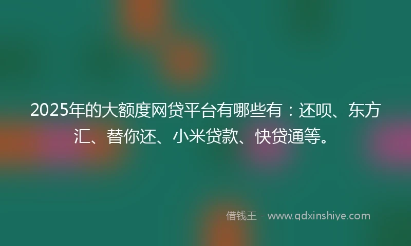 2025年的大额度网贷平台有哪些有：还呗、东方汇、替你还、小米贷款、快贷通等。