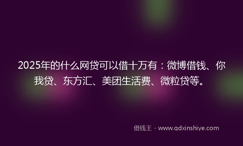 2025年的什么网贷可以借十万有：微博借钱、你我贷、东方汇、美团生活费、微粒贷等。