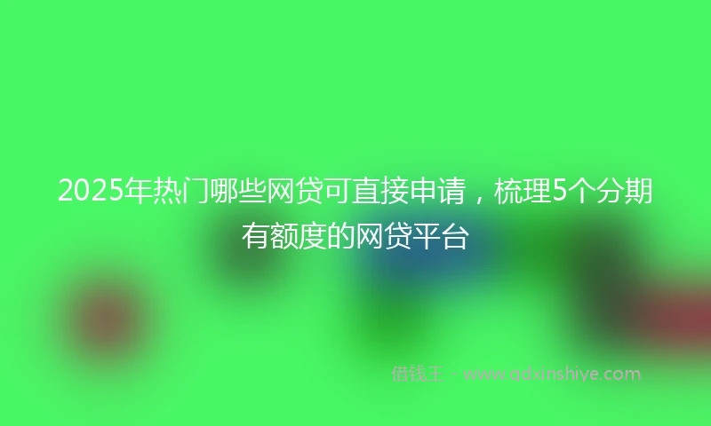 2025年热门哪些网贷可直接申请,梳理5个分期有额度的网贷平台