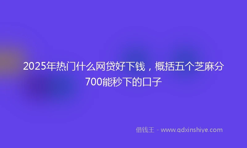 2025年热门什么网贷好下钱，概括五个芝麻分700能秒下的口子