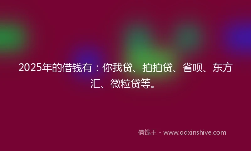 2025年的借钱有：你我贷、拍拍贷、省呗、东方汇、微粒贷等。