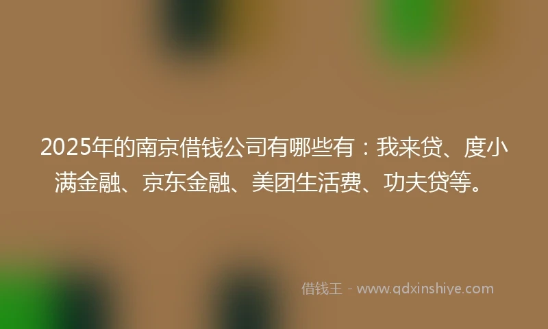 2025年的南京借钱公司有哪些有：我来贷、度小满金融、京东金融、美团生活费、功夫贷等。