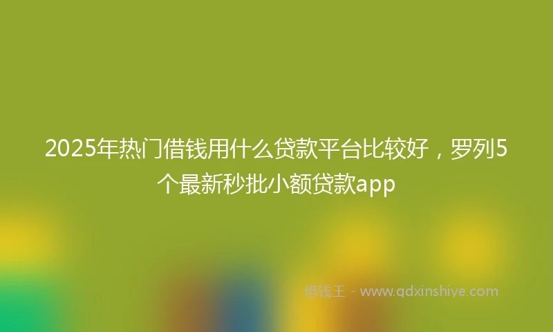 2025年热门借钱用什么贷款平台比较好，罗列5个最新秒批小额贷款app