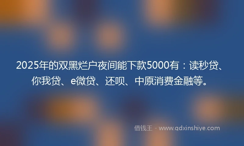 2025年的双黑烂户夜间能下款5000有：读秒贷、你我贷、e微贷、还呗、中原消费金融等。