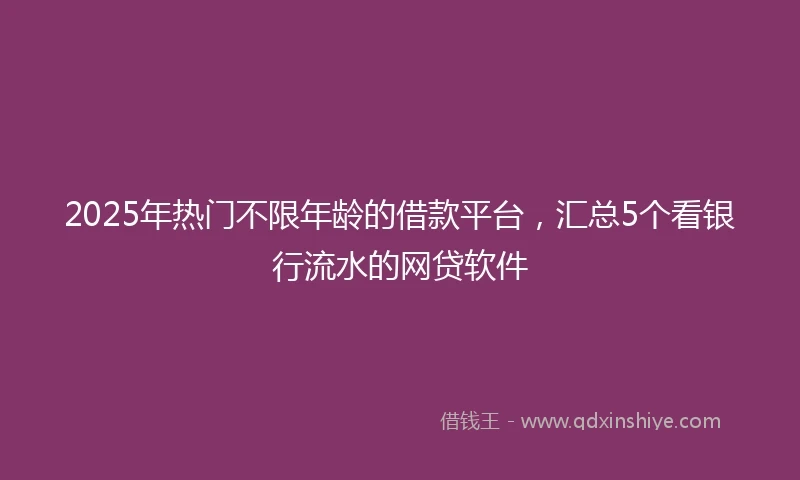 2025年热门不限年龄的借款平台,汇总5个看银行流水的网贷软件