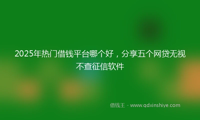 2025年热门借钱平台哪个好，分享五个网贷无视不查征信软件