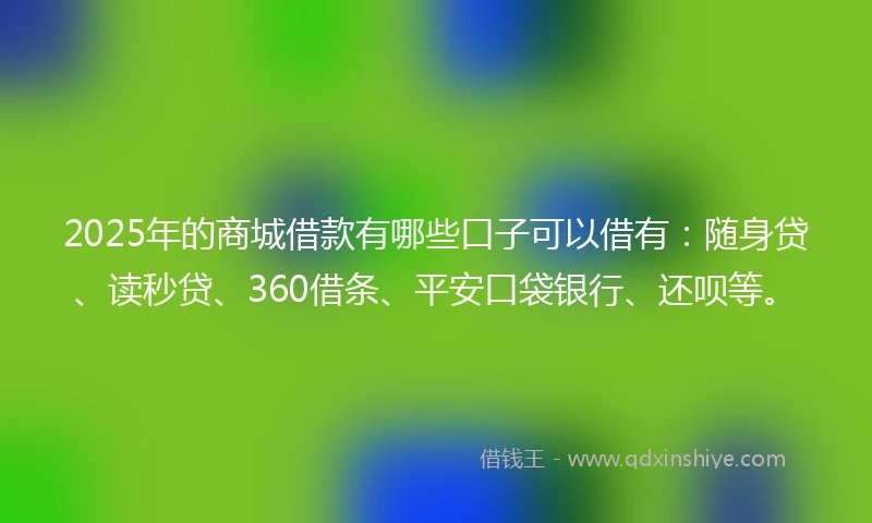 2025年的商城借款有哪些口子可以借有：随身贷、读秒贷、360借条、平安口袋银行、还呗等。