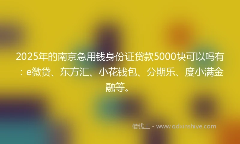 2025年的南京急用钱身份证贷款5000块可以吗有：e微贷、东方汇、小花钱包、分期乐、度小满金融等。