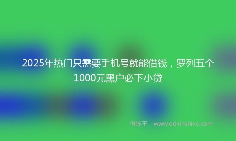 2025年热门只需要手机号就能借钱，罗列五个1000元黑户必下小贷