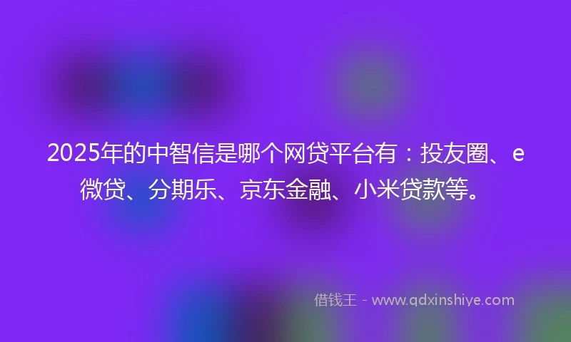 2025年的中智信是哪个网贷平台有:投友圈、e微贷、分期乐、京东金融、小米贷款等。