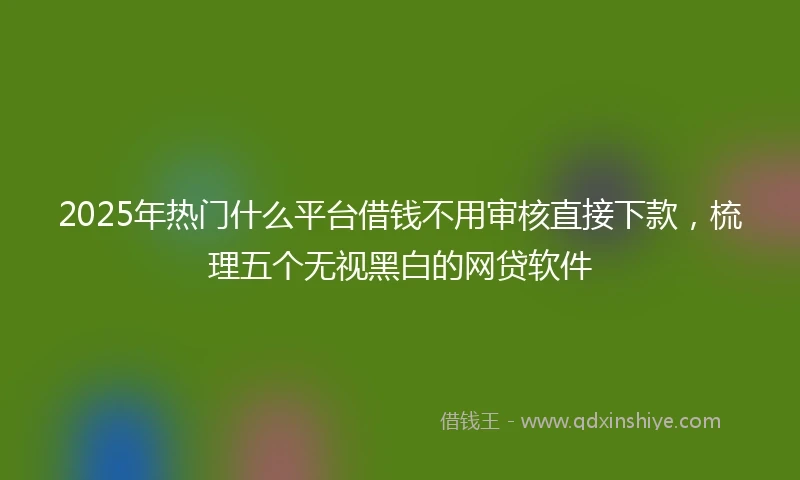 2025年热门什么平台借钱不用审核直接下款，梳理五个无视黑白的网贷软件