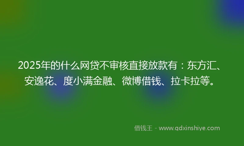 2025年的什么网贷不审核直接放款有：东方汇、安逸花、度小满金融、微博借钱、拉卡拉等。