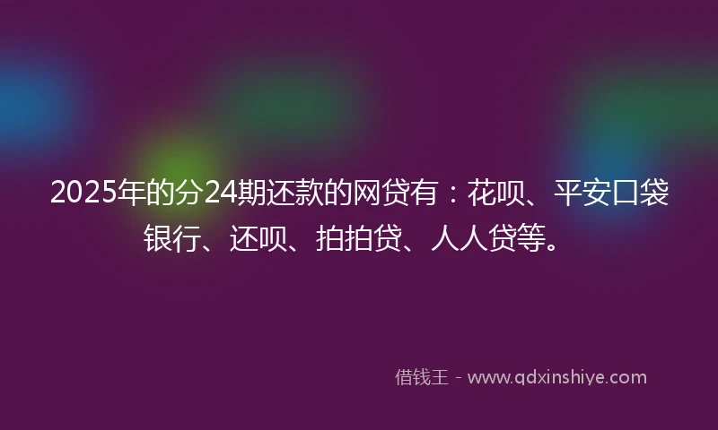 2025年的分24期还款的网贷有：花呗、平安口袋银行、还呗、拍拍贷、人人贷等。