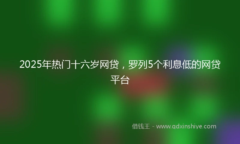 2025年热门十六岁网贷，罗列5个利息低的网贷平台