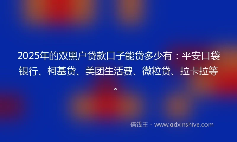 2025年的双黑户贷款口子能贷多少有：平安口袋银行、柯基贷、美团生活费、微粒贷、拉卡拉等。