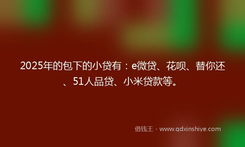 2025年的包下的小贷有：e微贷、花呗、替你还、51人品贷、小米贷款等。