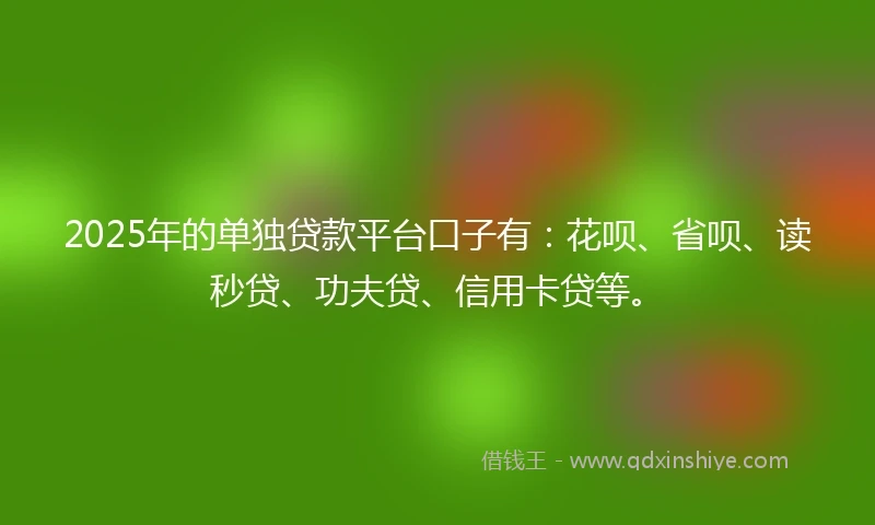 2025年的单独贷款平台口子有：花呗、省呗、读秒贷、功夫贷、信用卡贷等。