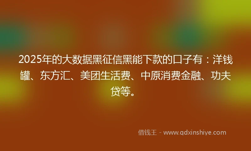 2025年的大数据黑征信黑能下款的口子有：洋钱罐、东方汇、美团生活费、中原消费金融、功夫贷等。