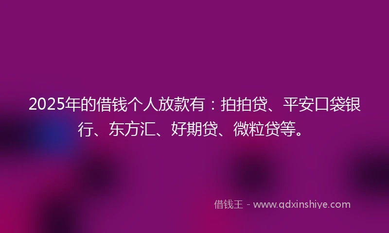 2025年的借钱个人放款有：拍拍贷、平安口袋银行、东方汇、好期贷、微粒贷等。
