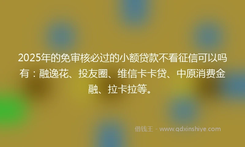 2025年的免审核必过的小额贷款不看征信可以吗有：融逸花、投友圈、维信卡卡贷、中原消费金融、拉卡拉等。