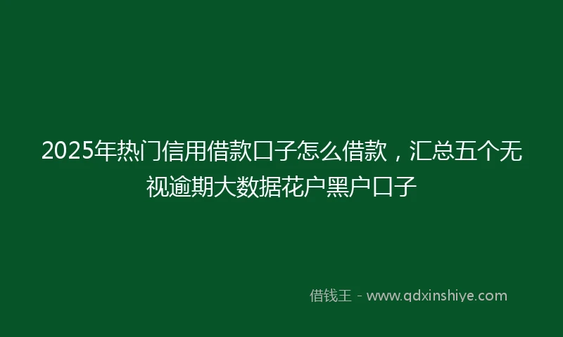 2025年热门信用借款口子怎么借款，汇总五个无视逾期大数据花户黑户口子