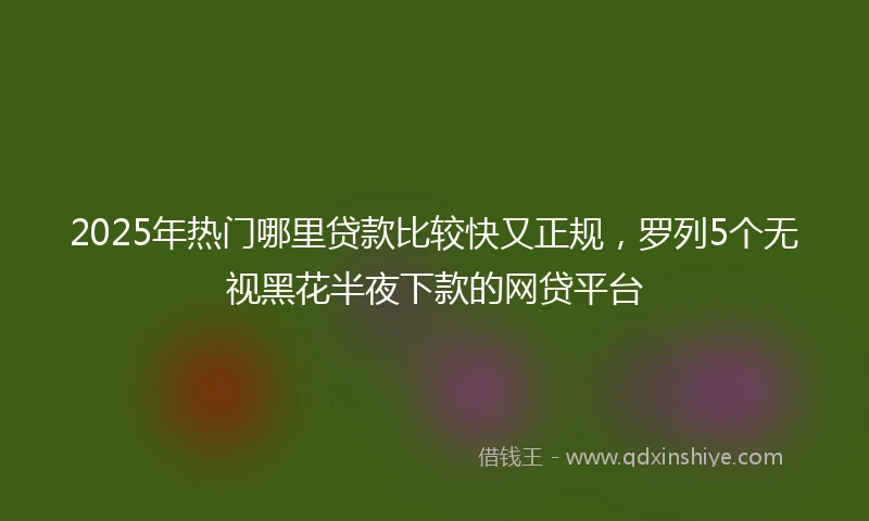 2025年热门哪里贷款比较快又正规，罗列5个无视黑花半夜下款的网贷平台