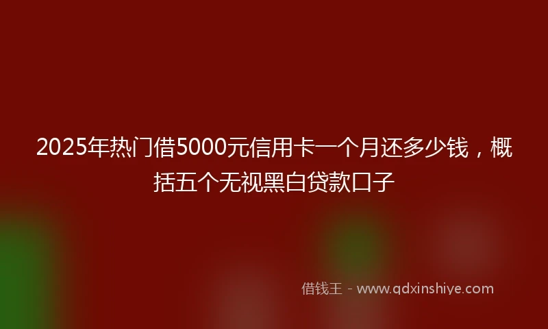 2025年热门借5000元信用卡一个月还多少钱，概括五个无视黑白贷款口子