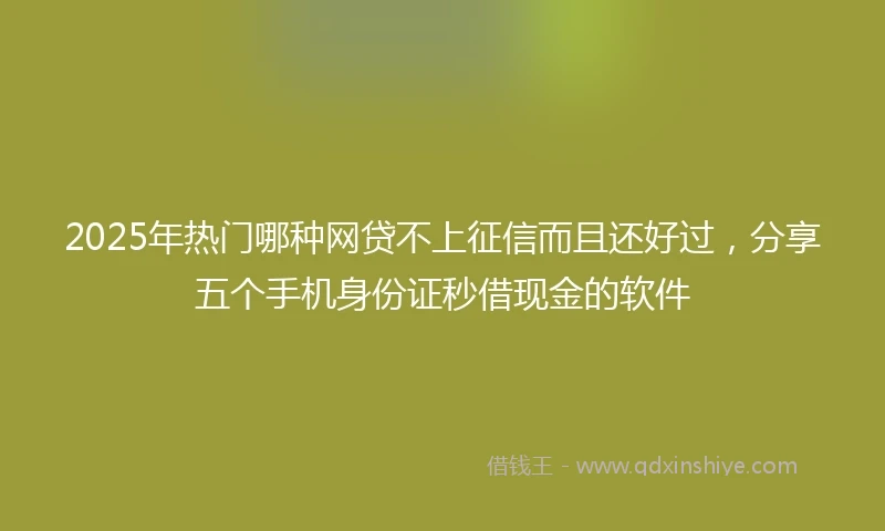 2025年热门哪种网贷不上征信而且还好过，分享五个手机身份证秒借现金的软件