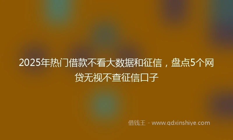2025年热门借款不看大数据和征信，盘点5个网贷无视不查征信口子