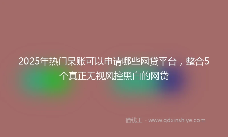 2025年热门呆账可以申请哪些网贷平台，整合5个真正无视风控黑白的网贷