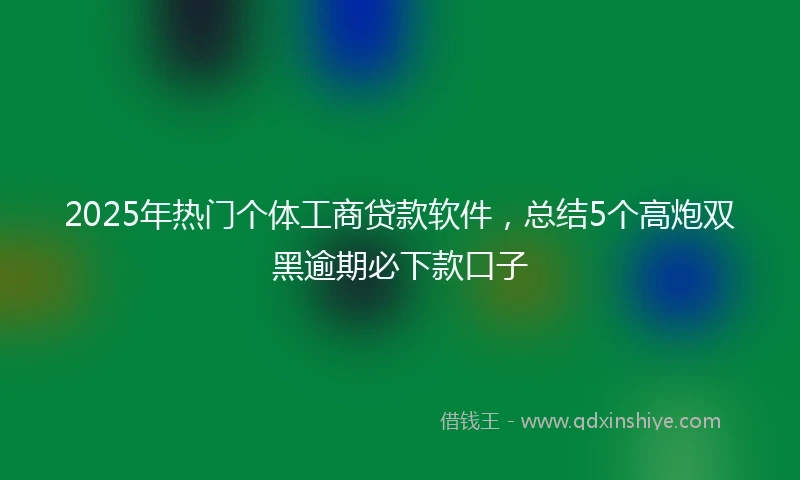 2025年热门个体工商贷款软件，总结5个高炮双黑逾期必下款口子