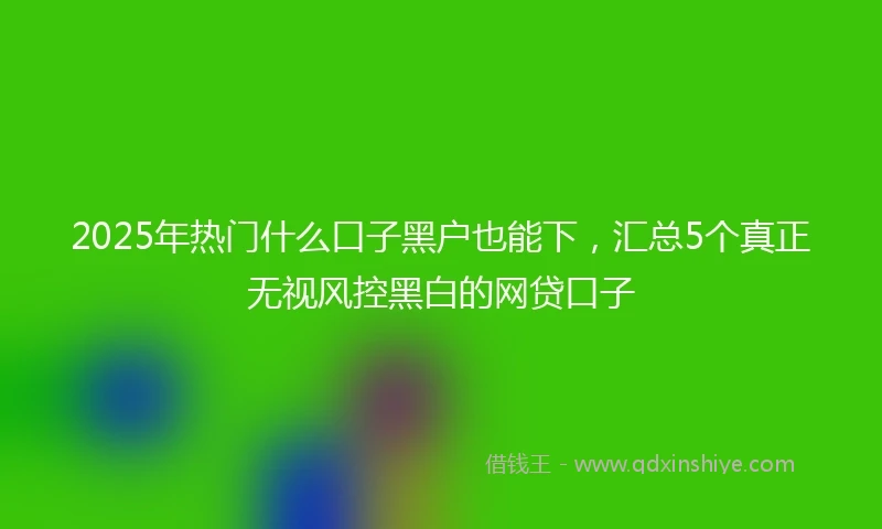 2025年热门什么口子黑户也能下,汇总5个真正无视风控黑白的网贷口子