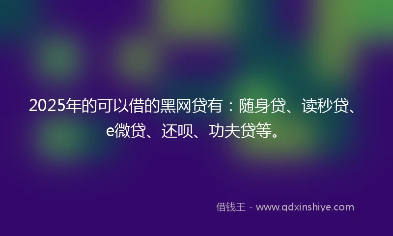 2025年的可以借的黑网贷有：随身贷、读秒贷、e微贷、还呗、功夫贷等。
