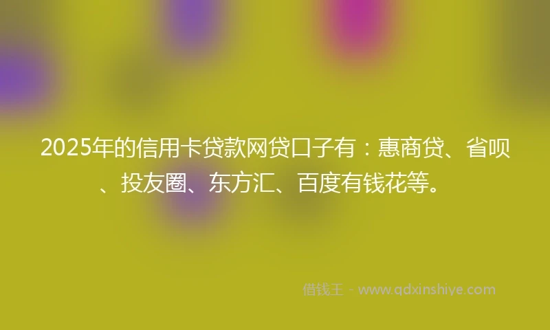 2025年的信用卡贷款网贷口子有:惠商贷、省呗、投友圈、东方汇、百度有钱花等。