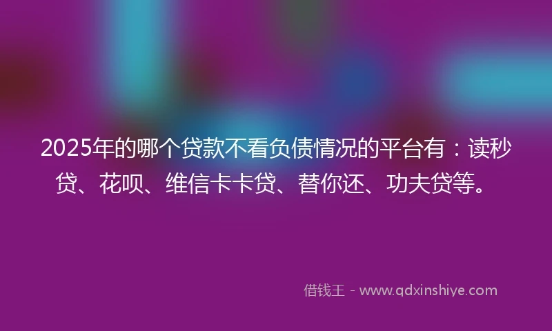 2025年的哪个贷款不看负债情况的平台有：读秒贷、花呗、维信卡卡贷、替你还、功夫贷等。