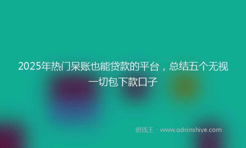 2025年热门呆账也能贷款的平台，总结五个无视一切包下款口子
