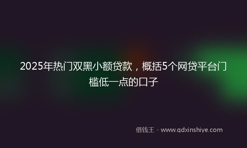 2025年热门双黑小额贷款，概括5个网贷平台门槛低一点的口子