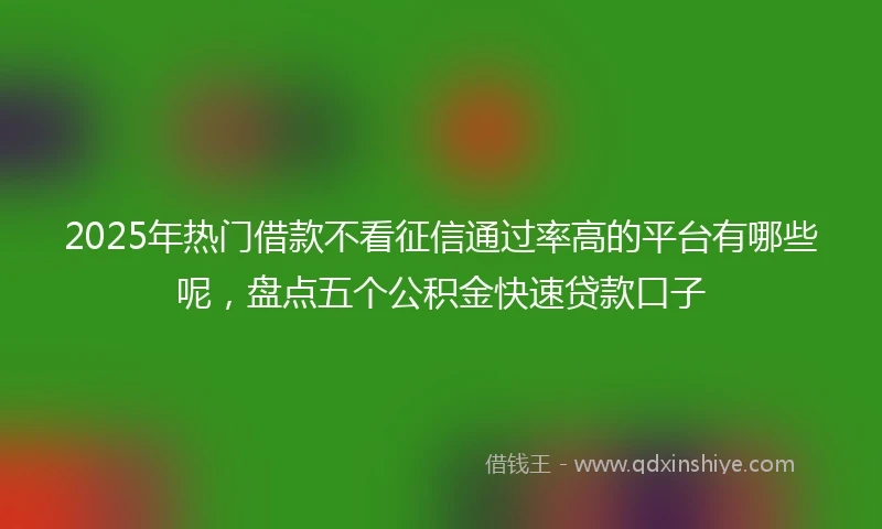 2025年热门借款不看征信通过率高的平台有哪些呢，盘点五个公积金快速贷款口子