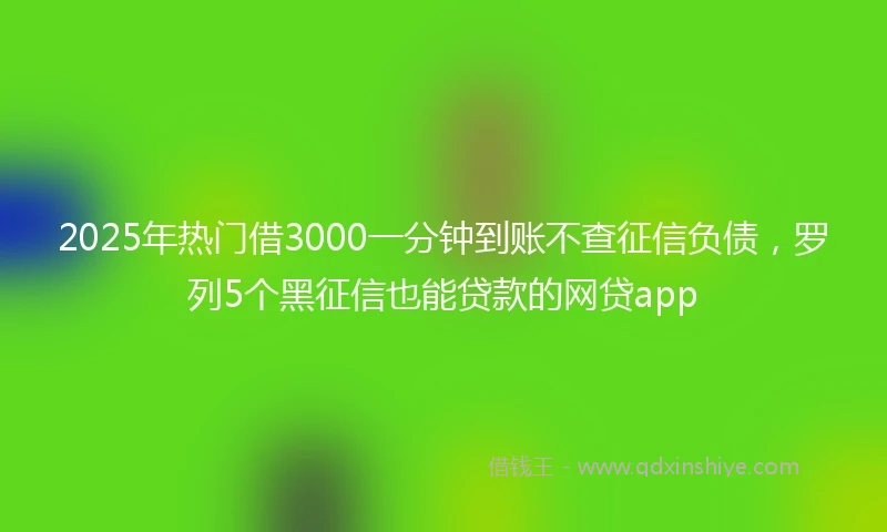 2025年热门借3000一分钟到账不查征信负债,罗列5个黑征信也能贷款的网贷app