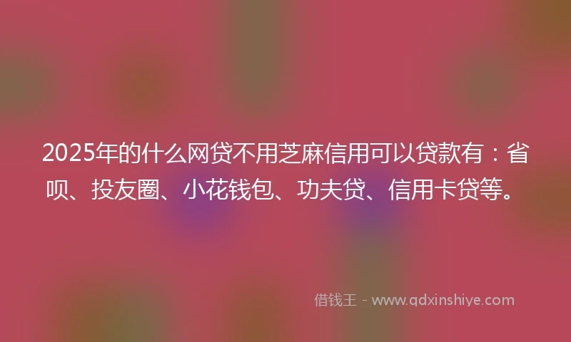 2025年的什么网贷不用芝麻信用可以贷款有：省呗、投友圈、小花钱包、功夫贷、信用卡贷等。