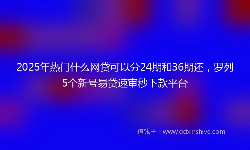 2025年热门什么网贷可以分24期和36期还，罗列5个新号易贷速审秒下款平台