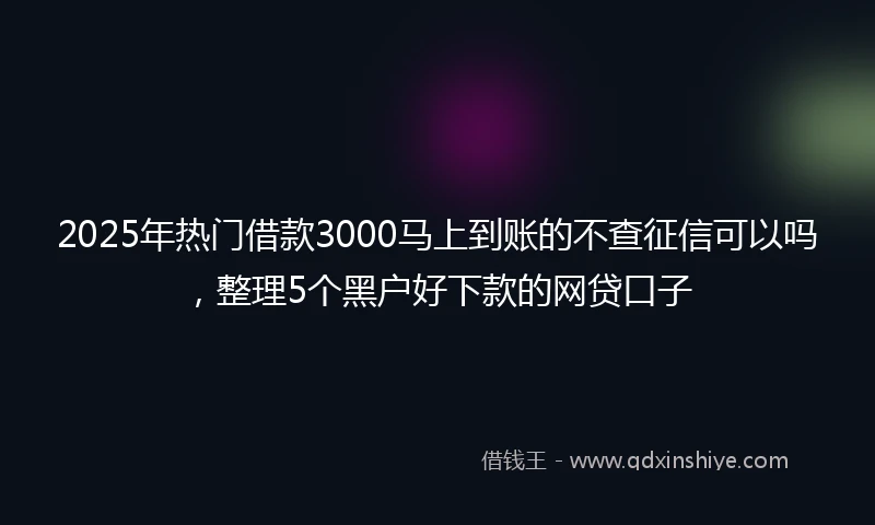 2025年热门借款3000马上到账的不查征信可以吗，整理5个黑户好下款的网贷口子
