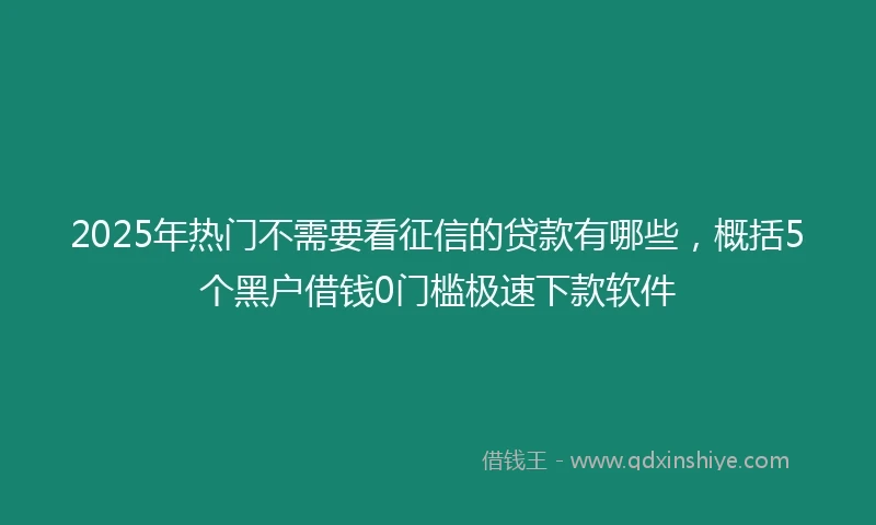 2025年热门不需要看征信的贷款有哪些，概括5个黑户借钱0门槛极速下款软件