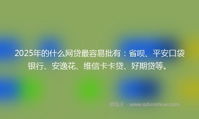2025年的什么网贷最容易批有：省呗、平安口袋银行、安逸花、维信卡卡贷、好期贷等。