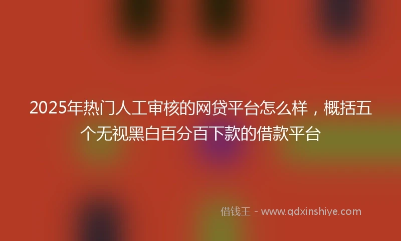 2025年热门人工审核的网贷平台怎么样，概括五个无视黑白百分百下款的借款平台