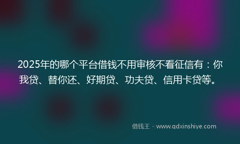 2025年的哪个平台借钱不用审核不看征信有：你我贷、替你还、好期贷、功夫贷、信用卡贷等。