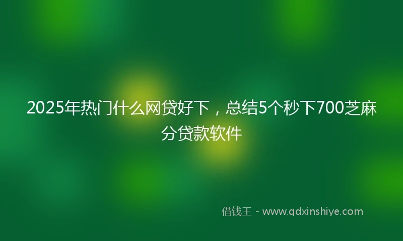 2025年热门什么网贷好下，总结5个秒下700芝麻分贷款软件